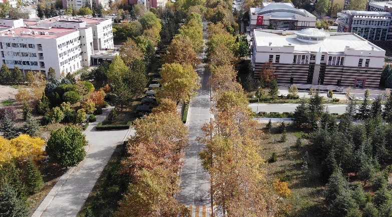 Eskişehir'de bulunan 3 üniversitenin kampüslerinde ki sonbahar manzaraları mest etti. Sonbahar aylarının gelmesiyle birlikte ağaç yapraklarının büründüğü renk adeta kendine hayran bırakıyor. Bu dönemde oluşan manzaraları adeta kartpostallara taş çıkarıyor.