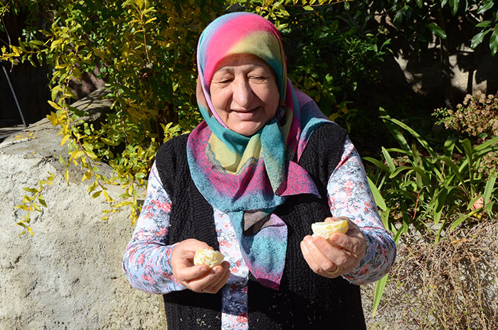 Bozkırın tam ortası Eskişehir'de mandalina ve portakal yetişti. 