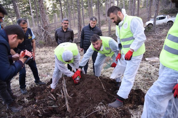 Eskişehir, Mihalıççık, Çatacık ve Afyonkarahisar ormanlarında doğal olarak bulunan kırmızı orman karıncalarının (Formica Rufa) yaşam alanları genişletiliyor. Yüksek rakımlarda yaşayan 40 koloni bölünerek milyonlarcası karınca bulunmayan bölgelere nakledilme işlemi başlatıldı. 