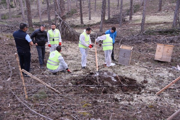 Mayıs ayı sonuna kadar yapılacak bu çalışma ile Eskişehir ve Afyonkarahisar illerinde toplam 40 adet karınca nakli gerçekleştirilecek. 