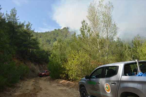 Eskişehir'in Mihalgazi ilçesinde, bir otomobilde çıkan yangın ormanlık alana sıçradı.