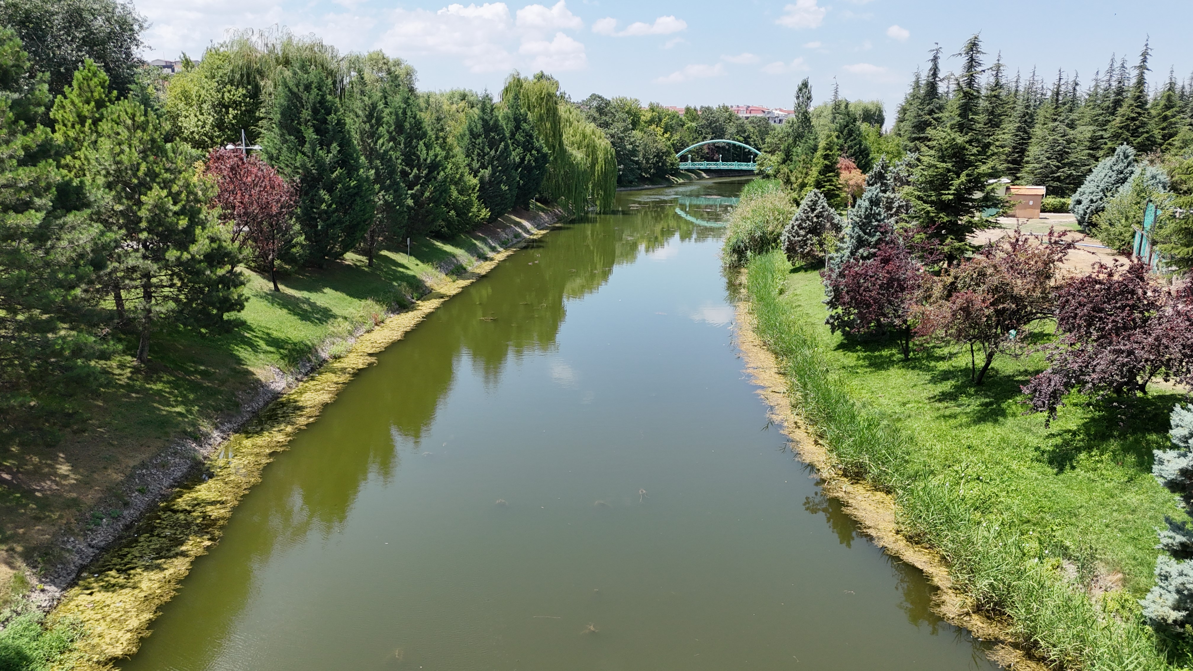 Eskişehir'in simgesi Porsuk Çayı, bu kez de yosunlarla boğuşuyor. Görüntüyü gören her vatandaş da Porsuk Çayı'nın neden bu hale geldiğini merak ediyor...