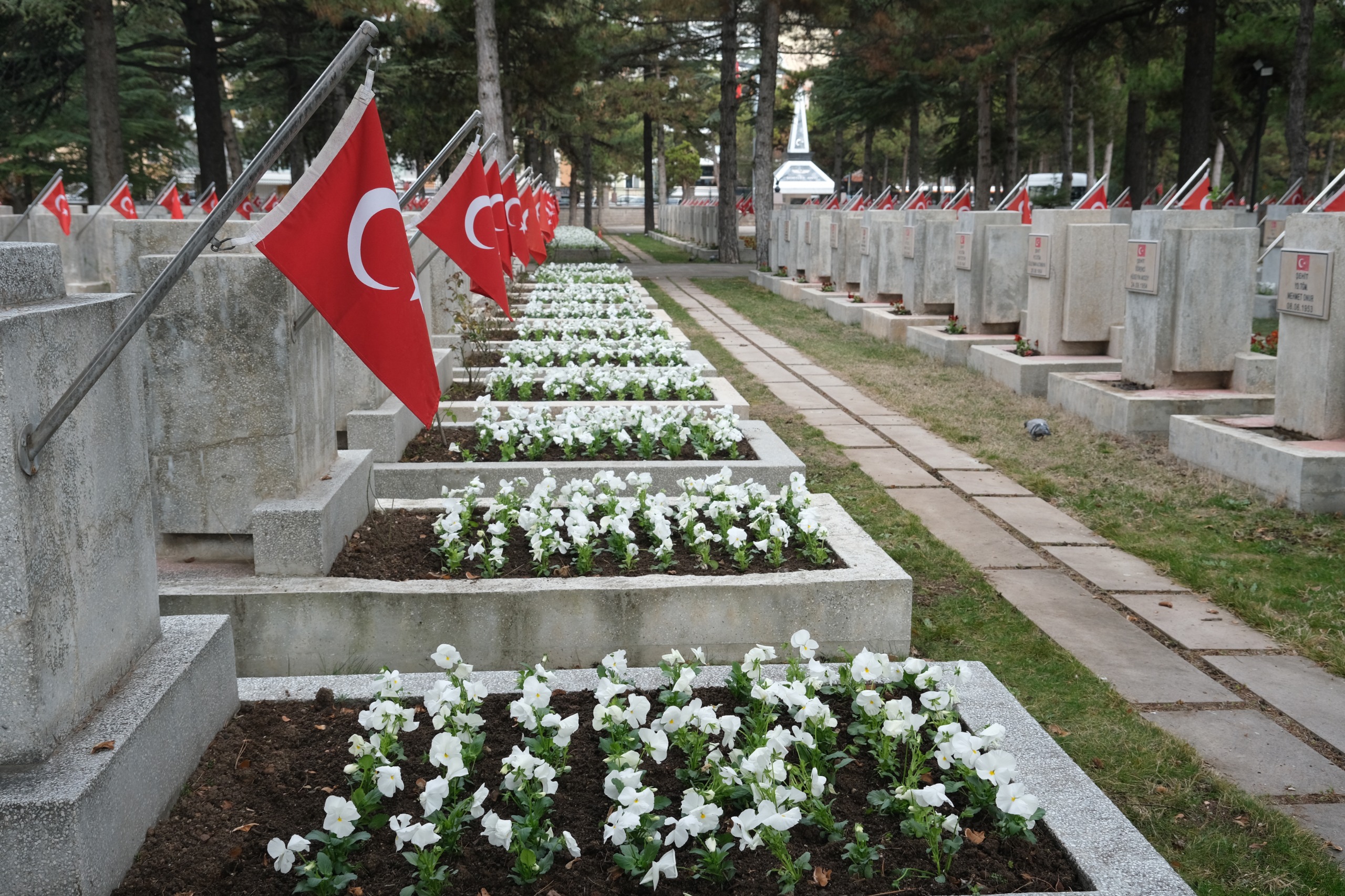 Eskişehir Büyükşehir Belediyesi Park ve Bahçeler Dairesi Başkanlığı ekipleri, kent merkezinde Vişnelik Hava Şehitliği, Kanlıpınar Şehitliği, Asri Mezarlık, Esentepe Mezarlığı, Odunpazarı Mezarlığı, Zincirlikuyu Mezarlığı başta olmak üzere 12 ilçe ve kırsal mahallelerde bulunan kahraman şehitlerimizin kabirlerinin bakımını yaparak çiçeklendiriyor. İlçelerde ve bağlı mahallelerde bulunan şehit mezarlarının temizlik ve bakımını özenle yapan ekipler, kabirleri çiçek bahçesine dönüştürüyor.

Büyükşehir Belediyesi yetkilileri, “18 Mart Çanakkale Zaferi ve Şehitleri Anma Günü kapsamında Park Bahçeler Dairesi ekiplerimiz şehit mezarlarımızın bakım ve temizliklerini gerçekleştiriyorlar. Şehitlerimizin kabirleri çiçeklerle donatılıyor. Şehitlerimiz için ne yapsak azdır ve asla haklarını ödeyemeyiz. Mekânları cennet olsun.” dediler.

Şehit yakınları da yapılan anlamlı çalışma nedeniyle Büyükşehir Belediye Başkanı Yılmaz Büyükerşen ve belediye görevlilerine teşekkür ettiler.
