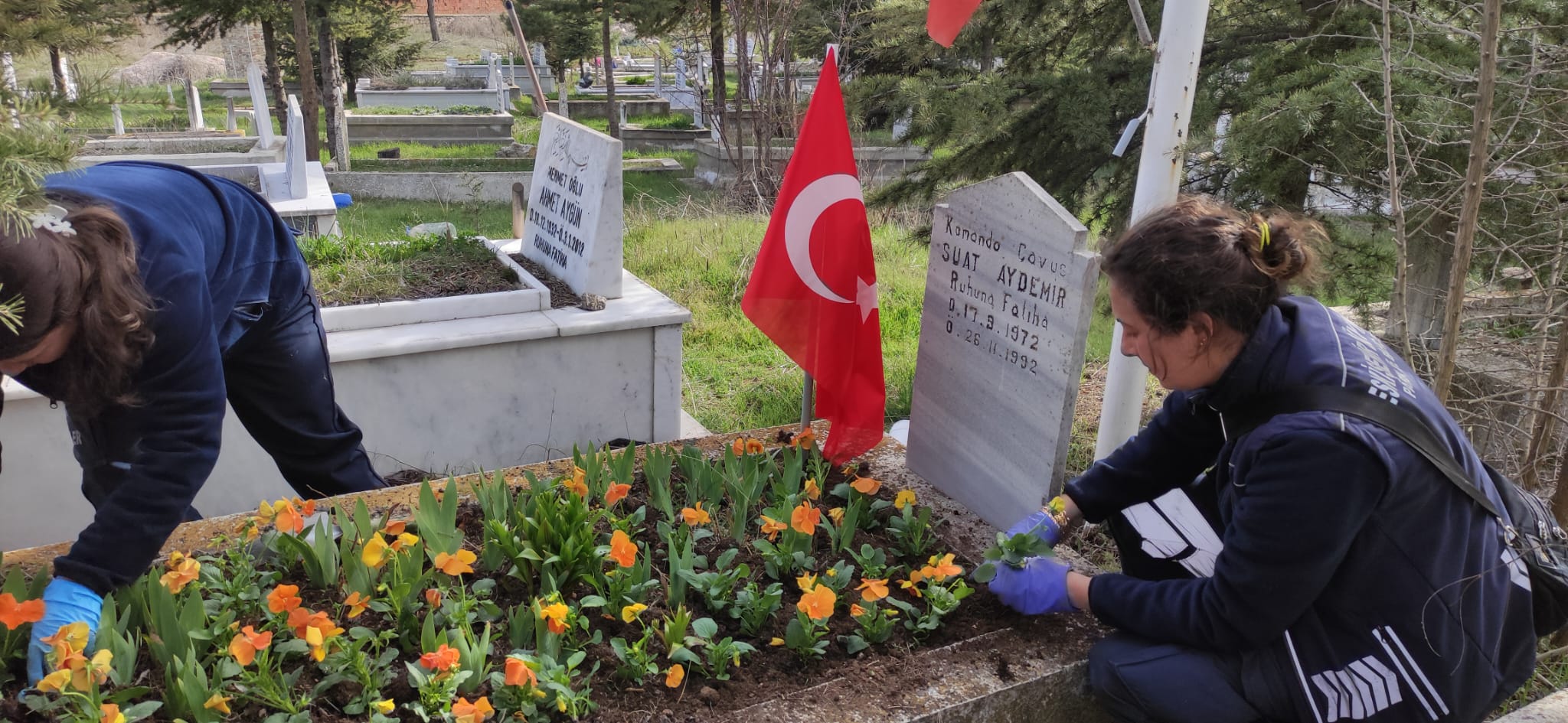 Eskişehir Büyükşehir Belediyesi Park ve Bahçeler Dairesi Başkanlığı ekipleri, kent merkezinde Vişnelik Hava Şehitliği, Kanlıpınar Şehitliği, Asri Mezarlık, Esentepe Mezarlığı, Odunpazarı Mezarlığı, Zincirlikuyu Mezarlığı başta olmak üzere 12 ilçe ve kırsal mahallelerde bulunan kahraman şehitlerimizin kabirlerinin bakımını yaparak çiçeklendiriyor. İlçelerde ve bağlı mahallelerde bulunan şehit mezarlarının temizlik ve bakımını özenle yapan ekipler, kabirleri çiçek bahçesine dönüştürüyor.

Büyükşehir Belediyesi yetkilileri, “18 Mart Çanakkale Zaferi ve Şehitleri Anma Günü kapsamında Park Bahçeler Dairesi ekiplerimiz şehit mezarlarımızın bakım ve temizliklerini gerçekleştiriyorlar. Şehitlerimizin kabirleri çiçeklerle donatılıyor. Şehitlerimiz için ne yapsak azdır ve asla haklarını ödeyemeyiz. Mekânları cennet olsun.” dediler.

Şehit yakınları da yapılan anlamlı çalışma nedeniyle Büyükşehir Belediye Başkanı Yılmaz Büyükerşen ve belediye görevlilerine teşekkür ettiler.
