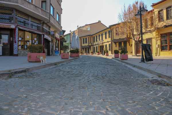 Türkiye genelinde turistlere ev sahipliği yapan bölge sokak hayvanlarına kaldı.