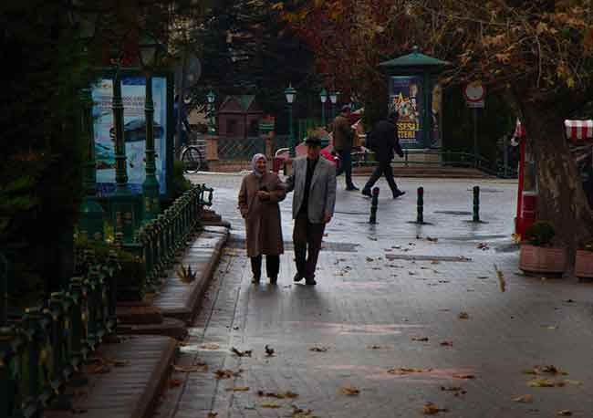 Sonbahar aylarında yeşilin sarıyla buluşması Eskişehir sokaklarında renkli görüntüler ortaya çıkardı