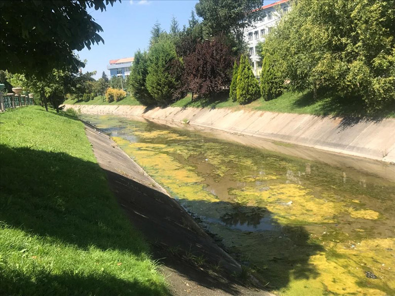 Bazı noktalarda araç lastikleri yer alırken, bazı alanlarda ise çeşitli plastik ve teneke atıklarının yer aldığı görüldü.