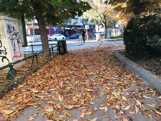 zellikle ağaç sayısının fazla olduğu Porsuk Nehri civarında görülen bu doğal güzellikler...