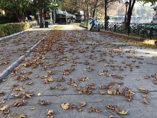 Sonbahar aylarının son günlerine yaklaşılırken mevsim koşulları gereği sararan ve ağaçlardan dökülen farklı renklerdeki yapraklar, Eskişehir sokak ve caddelerini adeta doğayla bütünleştiriyor.