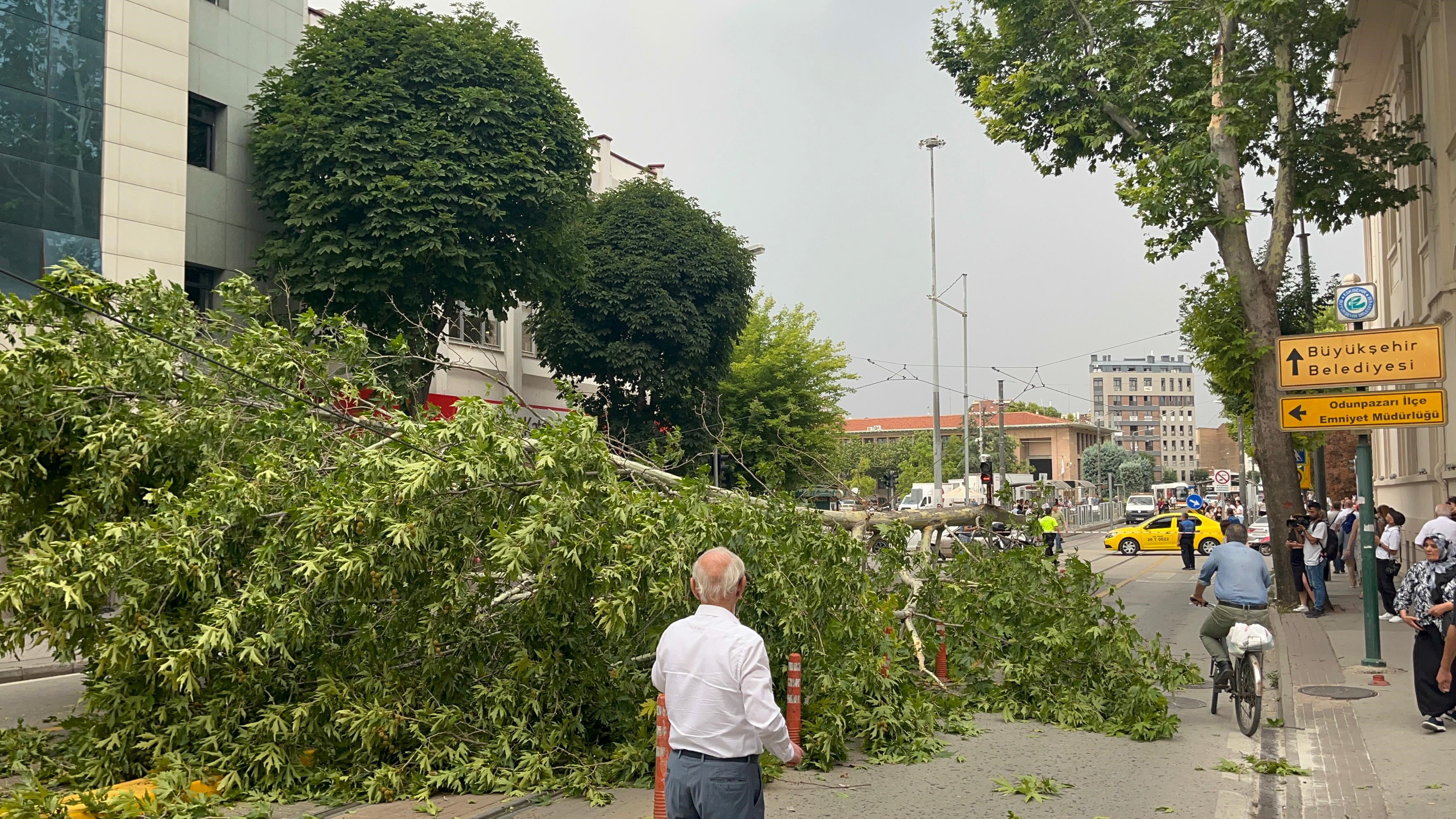 Odunpazarı ilçesi Arifiye Mahallesi İki Eylül Caddesi üzerinde bulunan bir ağacın dalı kuvvetli rüzgarın etkisiyle kırıldı. Oldukça büyük olan dal, gövdeden koparak tramvay yoluna düştü.