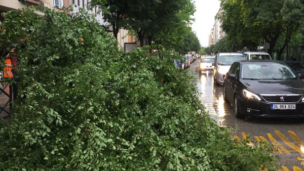 Eskişehir’de aniden bastıran yağmur ve dolu hayatı olumsuz etkilerken devrilen ağaçlar araçlara zarar verdi, çok sayıda araç 
Eskişehir'de 16.00 saatlerinde aniden başlayan yağmur ve dolu vatandaşları hazırlıksız yakaladı.