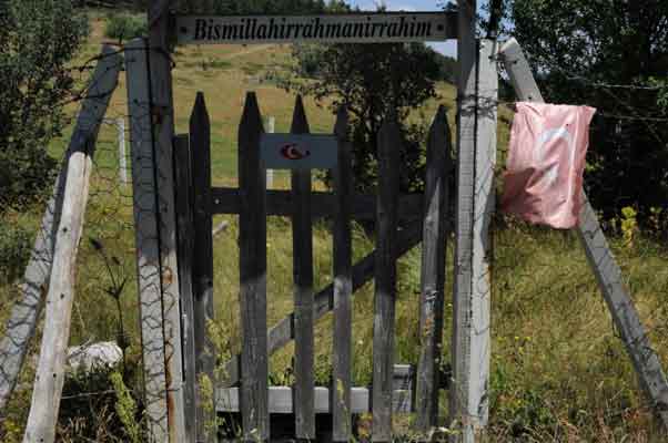  Eskişehir ile Kütahya il sınırındaki ormanlık alanda bulunan ve neredeyse unutulan şehit mezarlarının içler acısı durumu yürekleri burktu.