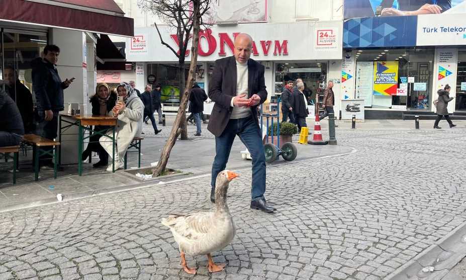 Eskişehir’e 12 yıllık Cango isimli kazı ile gelen Yılmaz Evcenler, kenti dolaştıktan sonra meşhur çi böreğin tadına baktı. Kocaeli’nde yaşayan ve 12 yıldır 'Cango' isimli kazını biran bile yanından ayırmayan Yılmaz Evcenler, Eskişehir’i gezmeye geldi. Kentin turistik yerlerini boynunda papyon takılı kazı ile birlikte gezen Evcenler, insanların yoğun ilgisiyle karşılaştı. Yılmaz Evcenler kazı Cango ile birlikte Çi börek yedi. Çi böreği oldukça beğenen Evcenler ve Cango vatandaşlarla fotoğraf çekindikten sonra şehir turuna devam etti. İşte o görüntüler... 