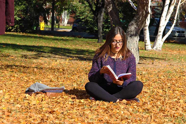 Sonbahar mevsimi ile birlikte ağaçların yapraklarında oluşan renkler, Eskişehir’de kartpostallık görüntüler oluşturdu. 