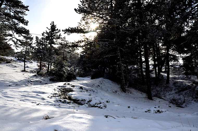 Eskişehir’in yüksek kesimlerinde çekilen fotoğraflar, kış manzaralarını gözler önüne serdi.