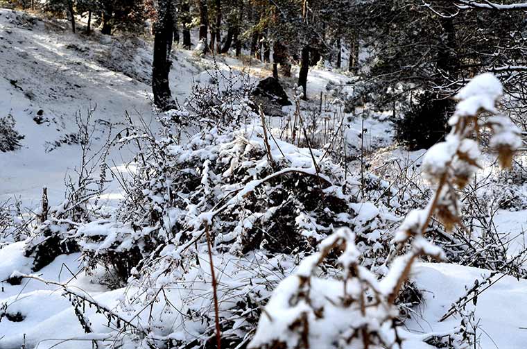 Eskişehir’in yüksek kesimlerinde çekilen fotoğraflar, kış manzaralarını gözler önüne serdi.