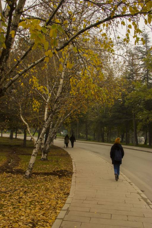 Eskişehir'de sonbahar mevsimi ile birlikte ağaçlarıda oluşan renkler kartpostallık görüntüler oluşturdu. 