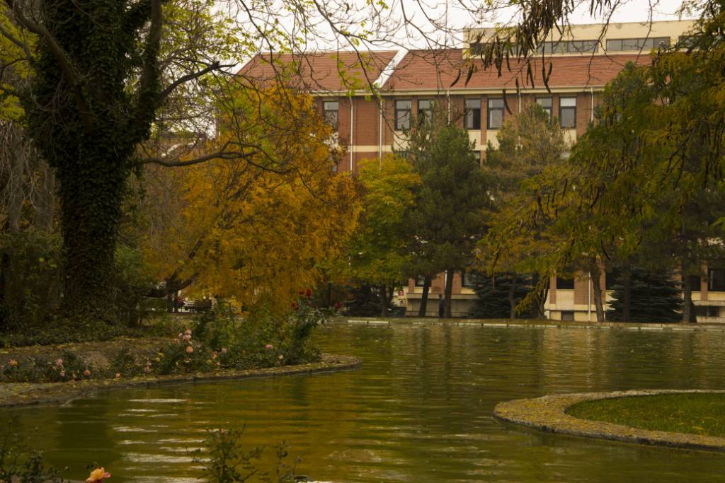 Eskişehir kent merkezinde bulunan Porsuk Çayı, Kanlıkavak Parkı, Odunpazarı Bölgesi, Anadolu Üniversitesi Yunus Emre Yerleşkesi ve Osmangazi Üniversitesi Meşelik Kampüsünde bulunan ağaçlık alanlar da renk cümbüşünün yaşandığı bugünlerde fotoğrafçıların uğrak mekanı haline geldi. 