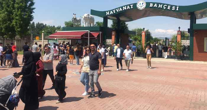 9 günlük bayram tatilinin keyfini çıkarmak isteyen vatandaşlar bayramın ikinci gününde Sazova Parkı içerisinde bulunan Hayvanat Bahçesi’ne yoğun ilgi gösterdi. 