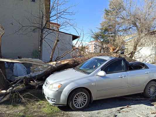 Meteorolojiden alınan verilere göre, gün içerisinde en yüksek rüzgâr şiddeti Kireçköy mahallesinde saatte 89 kilometre, Hasan Polatkan Havalimanı'nda ise saatte 72 kilometreye ulaştı. Şiddetli rüzgâra karşı dışarda bulunan vatandaşların dikkatli olmaları gerektiği konusunda uyarlarda bulunuldu.