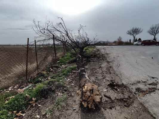 Meteoroloji 3. Bölge Müdürlüğü’nün sağanak yağış ve fırtına uyarısının ardından, Eskişehir’de kuvvetli rüzgâr etkisini hissettirmeye başladı.