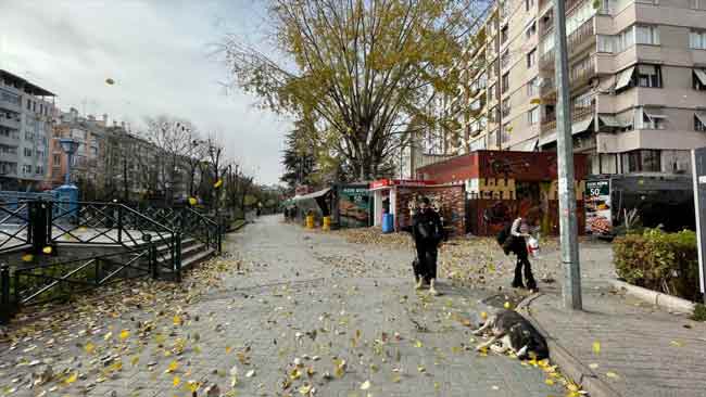 Devrilen ağacın, yük taşımaya uygun bir araçla bulunduğu yerden kaldırılacağı öğrenildi.