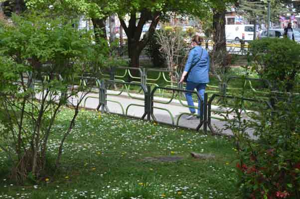 Baharın güzelliğini göstermeye başlayan bu çiçekler, şehre güzel bir görüntü katarken kartpostallık görüntüler oluşturdu.