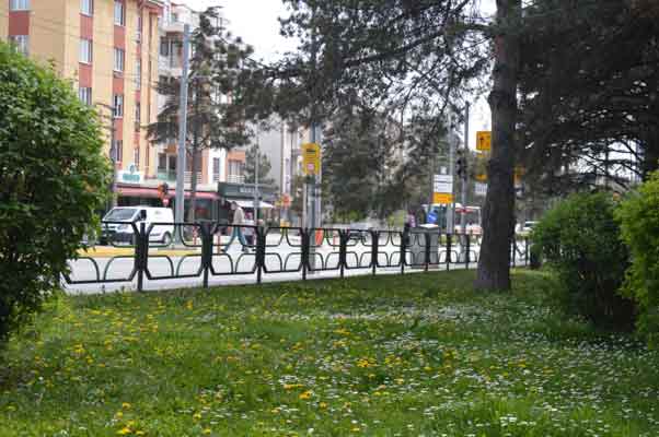 Kentteki parkalarından başlayarak vatandaşların bahçesini bile rengârenk eden çiçekler...