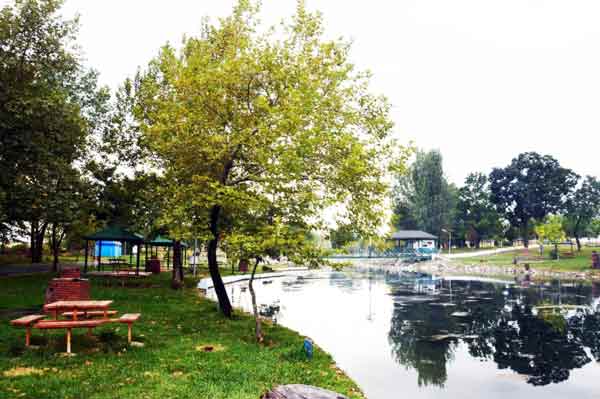 Eskişehir’in Çifteler ilçesinde doğa harikası olan Sakaryabaşı, tablo görünümüyle insanları kendisine adeta hayran bırakıyor.