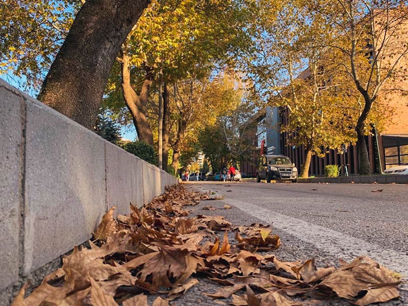 Sararmış ağaçların ve dökülen yaprakların içinde doyasıya fotoğraf çekinen öğrenciler, sonbaharın tadını kampüste çıkarıyor.