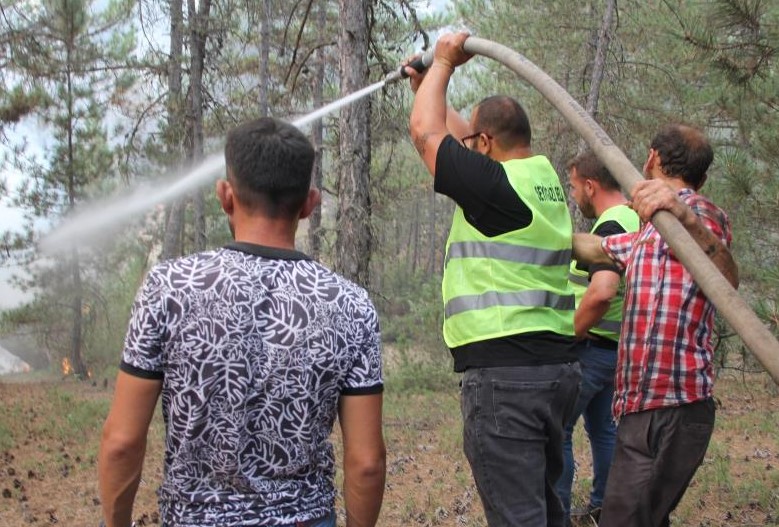 Seyitgazi ilçesinin Kümbet ve Oynaş mahalleleri arasında 23 Ağustos saat 12.50 sularında yangın başladı. Rüzgarın etkisiyle 260 hektar alana yayılan yangını 6 arazöz, 7 su ikmal aracı, 5 helikopter, 1 uçak, 7 dozer, 4 greyder, 1 kepçe, 300 personel ve 95 yangın gönüllüsü müdahale ederek söndürdü.