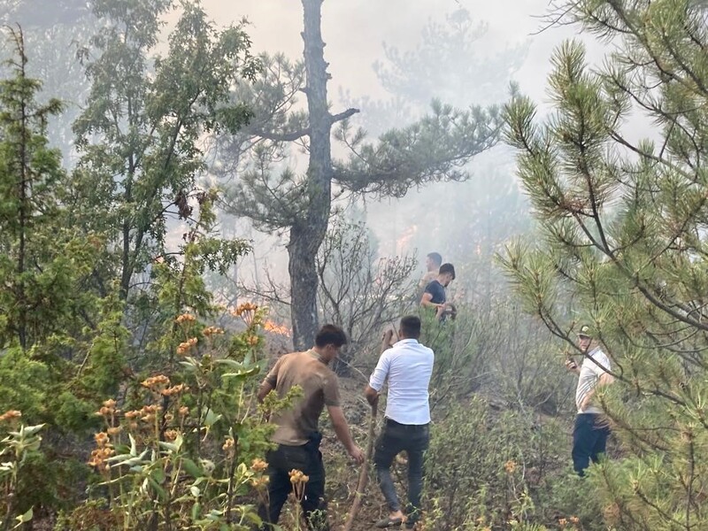 Seyitgazi ilçesinin Kümbet ve Oynaş mahalleleri arasında 23 Ağustos saat 12.50 sularında yangın başladı. Rüzgarın etkisiyle 260 hektar alana yayılan yangına 6 arazöz, 7 su ikmal aracı, 5 helikopter, 1 uçak, 7 dozer, 4 greyder, 1 kepçe, 300 personel ve 95 yangın gönüllüsü müdahale ederek söndürdü.