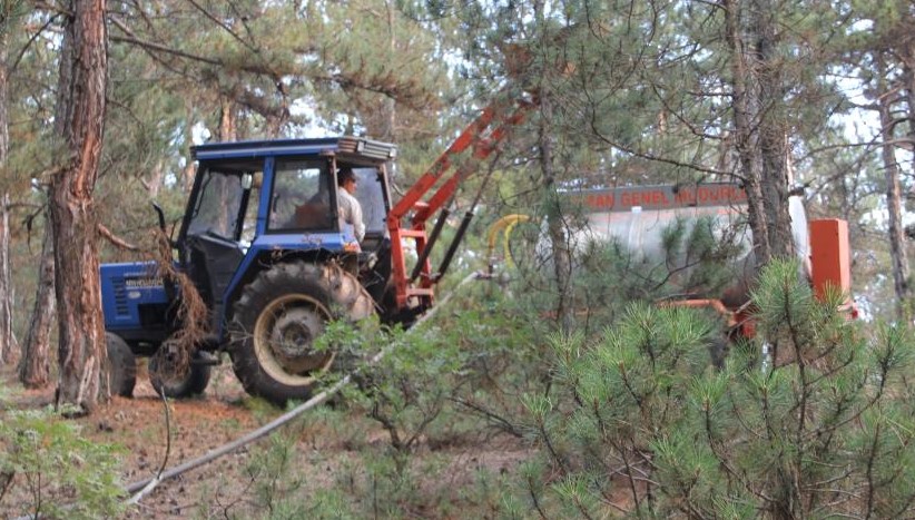 Seyitgazi ilçesinin Kümbet ve Oynaş mahalleleri arasında 23 Ağustos saat 12.50 sularında yangın başladı. Rüzgarın etkisiyle 260 hektar alana yayılan yangını 6 arazöz, 7 su ikmal aracı, 5 helikopter, 1 uçak, 7 dozer, 4 greyder, 1 kepçe, 300 personel ve 95 yangın gönüllüsü müdahale ederek söndürdü.