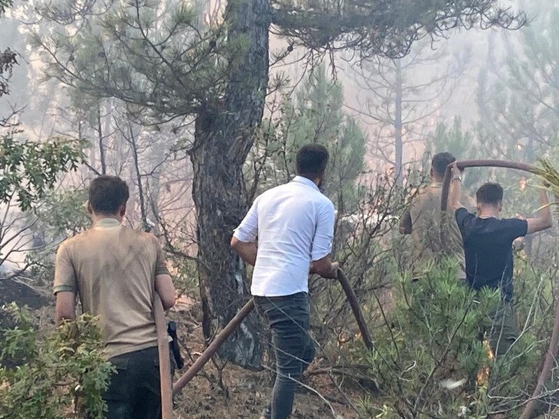 Yangına neden olduğu iddia edilen balya makinesinin sahibi çiftçi Mevlüt T. (65) gözaltına alınmasının ardından adli kontrol şartıyla serbest bırakıldı. Mevlüt T. suçlamayı reddederek, “Biz hemen müdahale ettik. Ancak rüzgarın etkisiyle alevler yayıldı. Suçlamayı kabul etmiyorum” dedi.