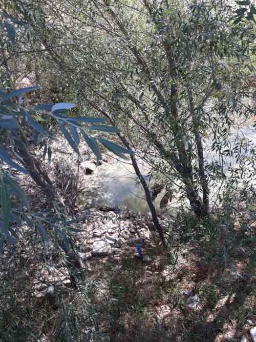 Eskişehir'in Sivrihisar ilçesinde Sakarya nehri kıyısına yakın olan mahallelerde sulama suyu sıkıntısı yaşayan vatandaşlar, bazı bölgelerde hayvanları için bile su bulmadıklarını belirtiyorlar.