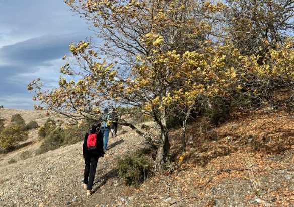 Eskişehirli doğa yürüyüşçüleri, ormanda 18 kilometrelik mesafeyi aşarken, sonbahar manzaralarını da fotoğraflamayı ihmal etmedi.