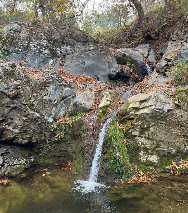 Eskişehirli doğa yürüyüşçüleri, ormanda 18 kilometrelik mesafeyi aşarken, sonbahar manzaralarını da fotoğraflamayı ihmal etmedi.