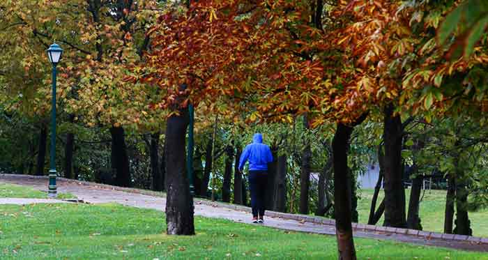 Eskişehir'de Porsuk Çayı üzerinde kurulu yapay bir ada olan ve içerisinde küçük bir akarsu ve bir park alanının yer aldığı Şehr-i Aşk Adası, sonbaharda farklı bir güzelliğe büründü.
