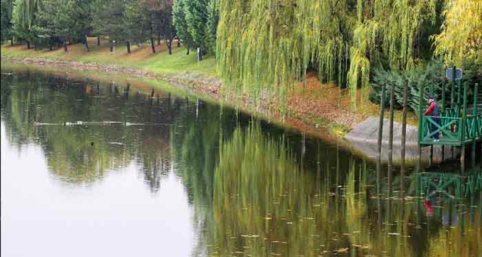 Eskişehir'de Porsuk Çayı üzerinde kurulu yapay bir ada olan ve içerisinde küçük bir akarsu ve bir park alanının yer aldığı Şehr-i Aşk Adası, sonbaharda farklı bir güzelliğe büründü.
