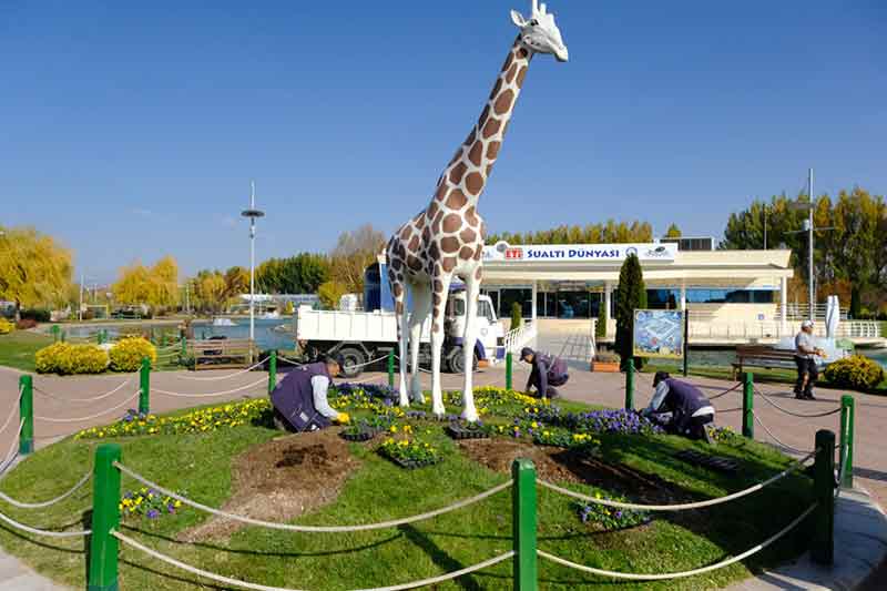 Park ve Bahçeler Dairesi yetkilileri, seralarda özenle hazırlanan çiçeklerin, cadde ve bulvarlar başta olmak üzere şehrin dört bir yanında ayrı güzellik katmaya devam edeceğini belirtti.