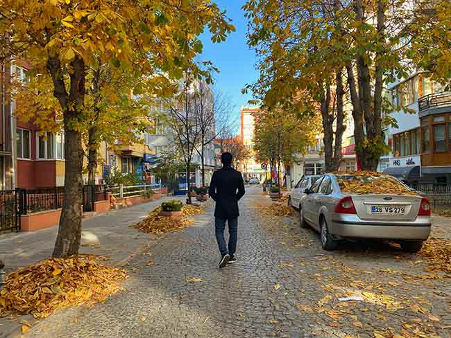 Eskişehir’in Deliklitaş Mahallesinde bulunan sokaklar, sonbaharın eşsiz yaprak dökümüyle kartpostallık manzaralar oluşturdu.