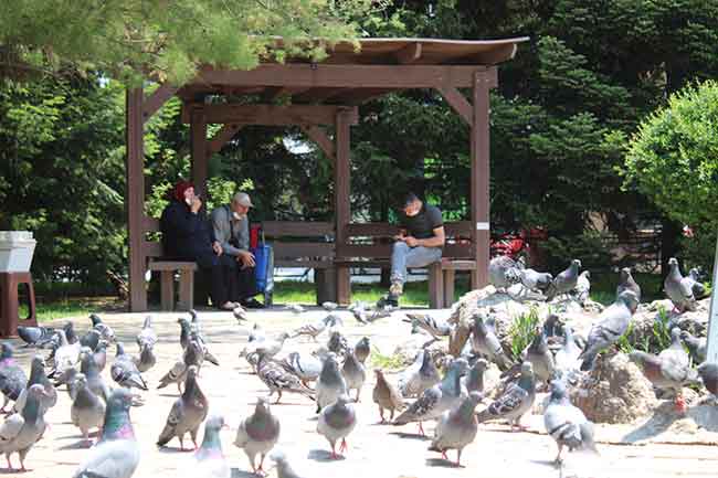 Eskişehir’de bazı parklarda yasak yokmuşçasına oturan ve arkadaşlarıyla sohbet eden vatandaşlar akıllara "Bu nasıl yasak?" sorusunu getirdi.