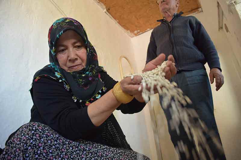 Mahallede yılda ortalama 15 ton kuru fasulye üretiliyor. Bu miktarın 2 tonluk kısmını Aynur Yıldırım yetiştiriyor.