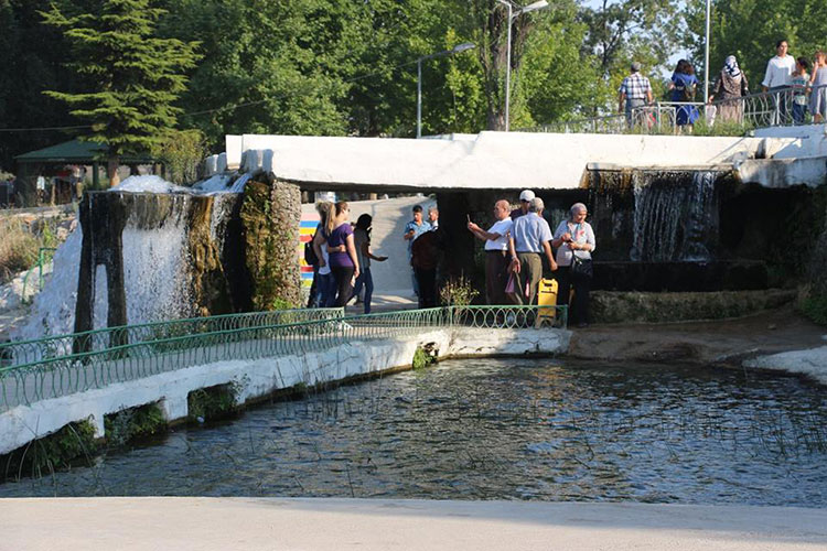 Eskişehir'de, Çifteler ilçesinin en gözde noktalarından olan Sakaryabaşı Nehri, etrafındaki piknik alanları, yüzme havuzları ve doğasıyla yaz boyunca yerli ve yabancı turistlerin ilgi odağı oluyor. 