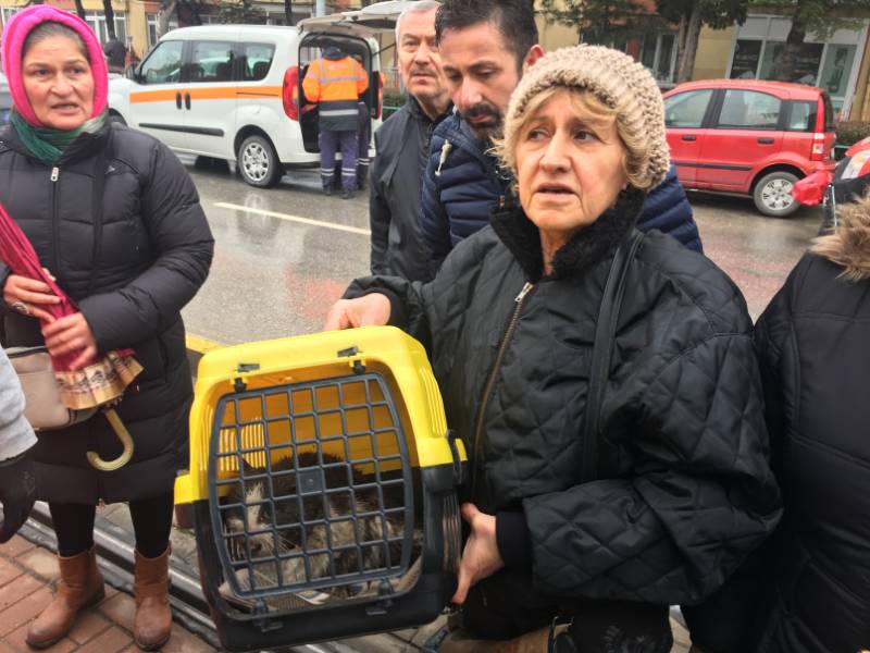 Eskişehir'de tramvayın altına giren kedi uzun uğraşlar sonrasında çıkartılabildi 