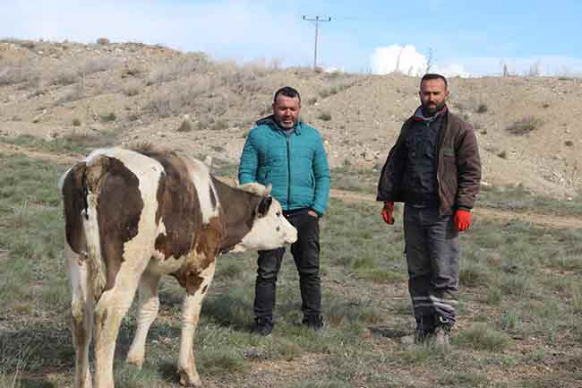 Eskişehir’de, lületaşı maden ocaklarının bulunduğu bölgede otlayan buzağı, toprak kayması sonucu 10 metrelik kuyuya düştü. Durumu fark eden çobanın hayvan sahiplerine haber vermesinin ardından bölgede adeta filmlere konu olacak kurtarma operasyonu başlatıldı. Yaklaşık 6 saatlik hummalı çalışma sonucunda mutlu sona ulaşılarak, buzağı düştüğü kuyudan çıkarıldı. 