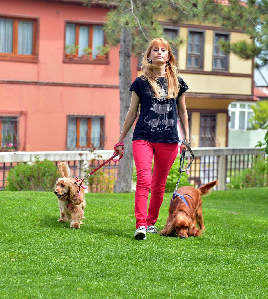 Bursa'da yaşayan ressam Filiz Mungan (36), çizdiği kedi ve köpek resimlerini, açtığı sergilerde satarak gelirini sokak hayvanları için harcıyor.