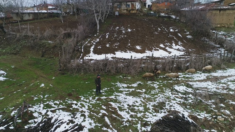 Sabah kalktığımız saat yazdan kışa göre değişir. Yaz sezonunda sabah ezanında çıkarız 10-11’e kadar. Değişiyor genelde. Eskiden kırda kalma olayı vardı. Şimdi o da bitti. Kışın geceleri uzun olduğu için geceleri de kuru yem veriyoruz. Genelde elimizden geldiği kadar kışın hayvanlar kapalı alanda olduğu için kuru yem ile bakıyoruz. Fenni yem verdiğimiz sürece içerisi asit yapıyor. Bu da hayvanlara zarar veriyor.  “Biz kuru ekmekle günümüz geçer ama hayvan için öyle değil” 