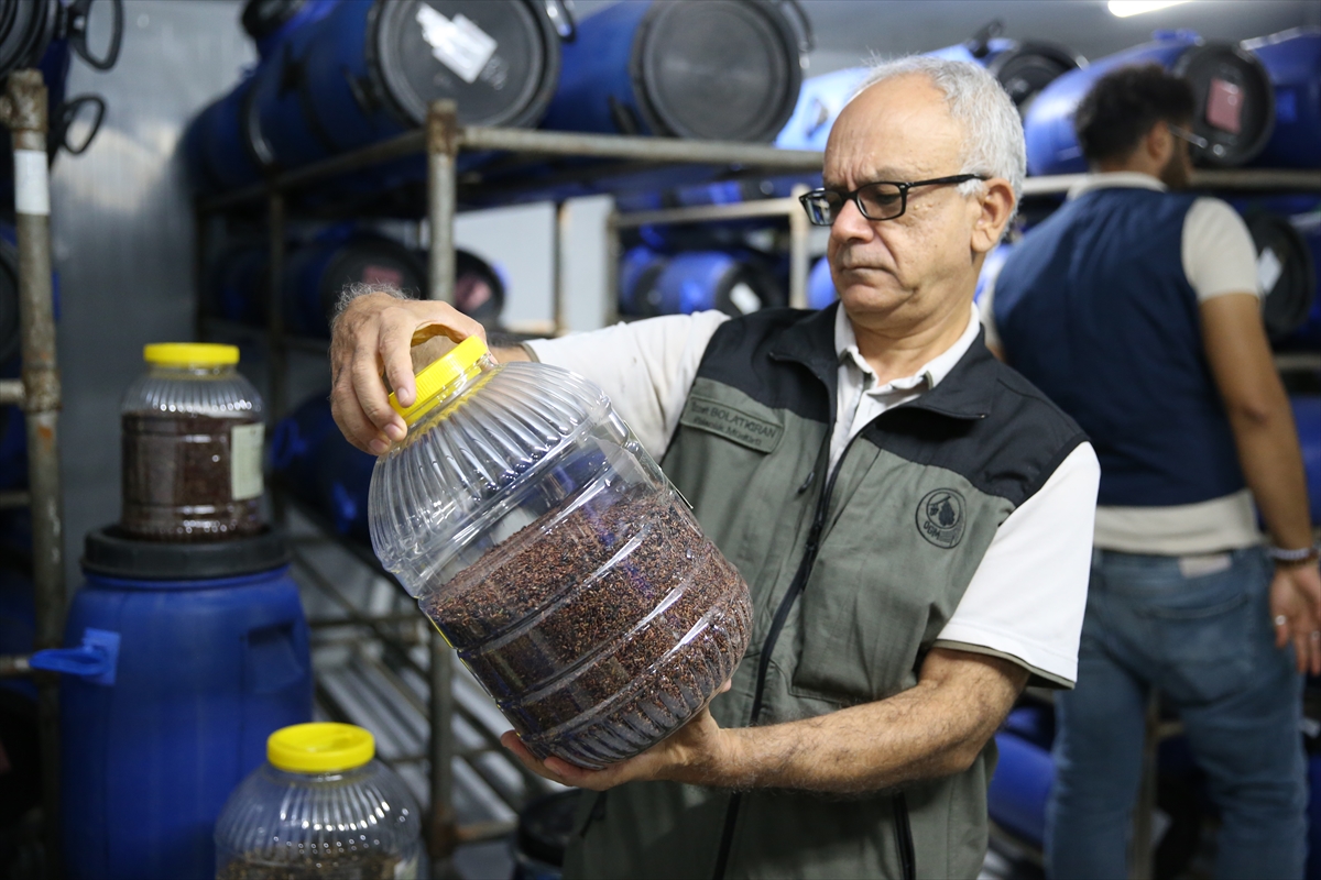 Eskişehir Orman Bölge Müdürlüğü'ne bağlı Eskişehir Orman Fidanlığı, zengin tohum stok merkezi ile ağaç ve tıbbi aromatik bitkilerin tohumlarını koruma altına alıyor. 1937 yılından bu yana faaliyet gösteren fidanlıkta, 200 farklı türde orman ağacı ve tıbbi bitki fidanları üretiliyor.

Tohum bahçesi ve çıkarma tesisine sahip olan merkezde, kozalak ve tohumlar özenle işlenerek saklanıyor. 5 ton kapasiteli soğuk hava depolarında, 0 ile -18 derece arasında ideal koşullarda saklanan tohumlar, uzun yıllar bozulmadan kalabiliyor. Şu an depolarda 6 tondan fazla tohum muhafaza ediliyor.