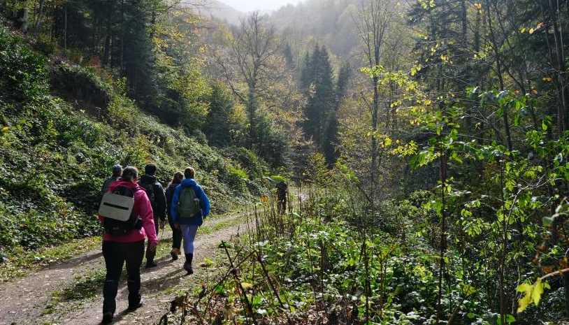 Eskişehirli doğa yürüyüşçüleri Bursa’daki ormanda 15 kilometre yürürken, sonbaharı manzaralarını fotoğraflamayı da ihmal etmedi.